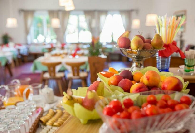 اتاق یک تخته با چشمانداز باغ, Villa Konstanze