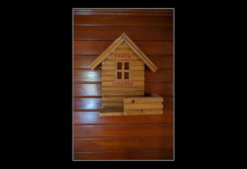 اتاق استاندارد با تخت بزرگ, Fuego Mio Bed & Breakfast