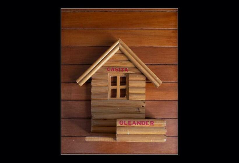 اتاق استاندارد با تخت بزرگ, Fuego Mio Bed & Breakfast