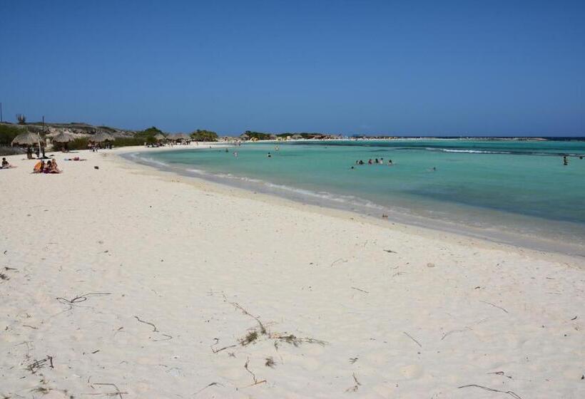 اتاق استاندارد با تخت بزرگ, Fuego Mio Bed & Breakfast