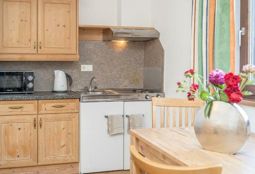 شقة غرفة واحدة, Eschenhof & Apartments