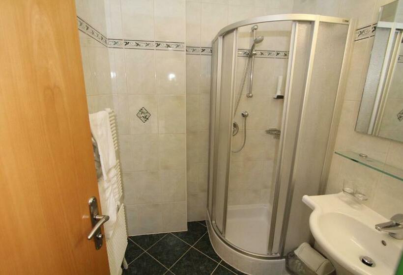 スタンダードシングルルーム, Goldener Stern