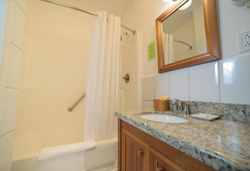 اتاق لوکس چهار تخته, Grand Coastal