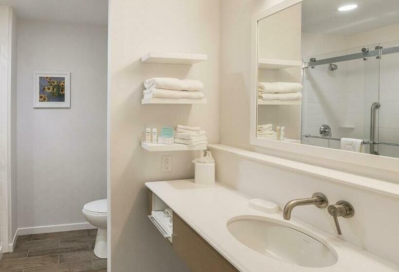 キングサイズベッドのエクゼクティブルーム, Hampton Inn & Suites Colleyville Dfw Airport West