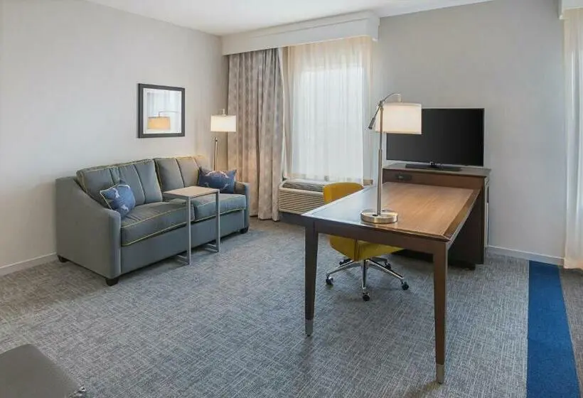 اتاق اجرایی با تخت بزرگ, Hampton Inn & Suites Colleyville Dfw Airport West