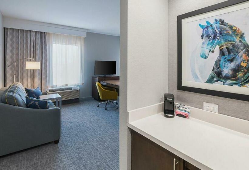 キングサイズベッドのエクゼクティブルーム, Hampton Inn & Suites Colleyville Dfw Airport West