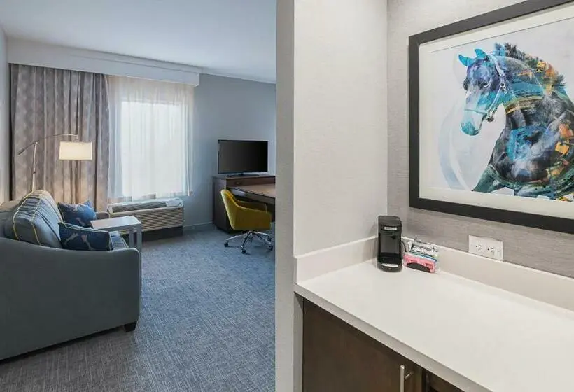 اتاق اجرایی با تخت بزرگ, Hampton Inn & Suites Colleyville Dfw Airport West