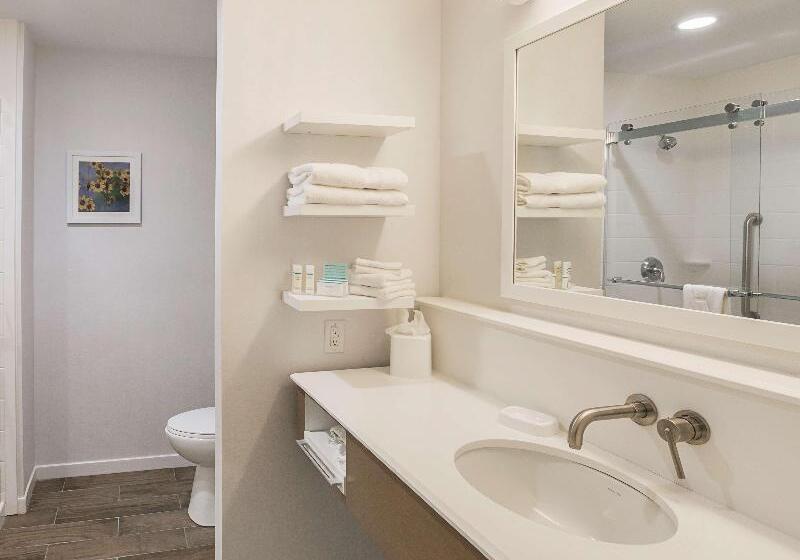 스탠다드 룸 킹사이즈 침대, Hampton Inn & Suites Colleyville Dfw Airport West
