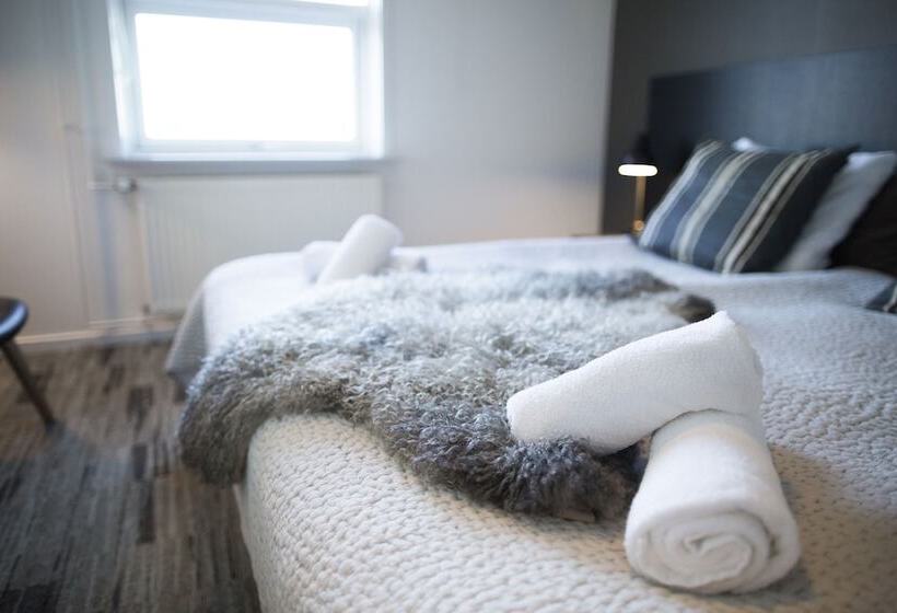 اتاق استاندارد, Icefiord