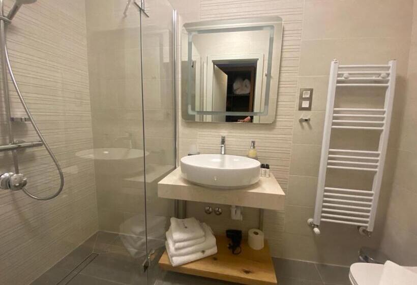 标准间带阳台, Radetzky