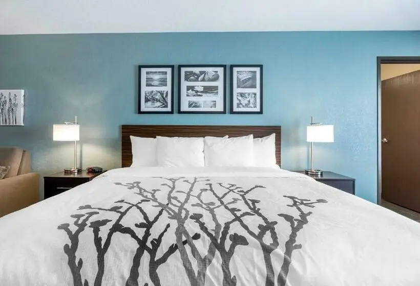 キングサイズベッドのスイートルーム, Sleep Inn & Suites West Des Moines Near Jordan Creek
