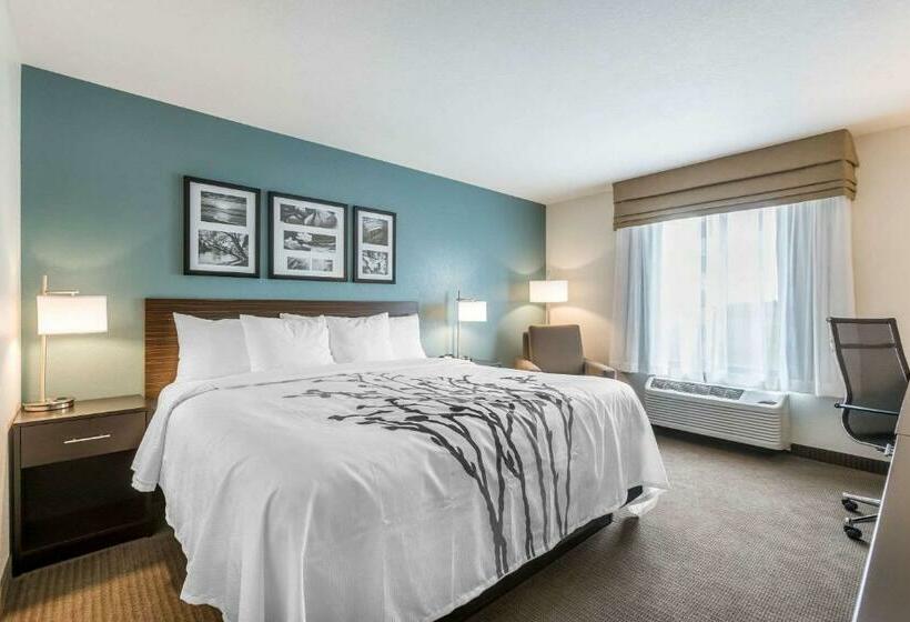 Стандартный Номер Кровать Кинг, Sleep Inn & Suites West Des Moines Near Jordan Creek
