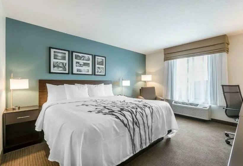 キングサイズベッドのスタンダードルーム, Sleep Inn & Suites West Des Moines Near Jordan Creek
