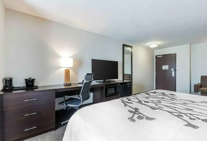 キングサイズベッドのスイートルーム, Sleep Inn & Suites West Des Moines Near Jordan Creek