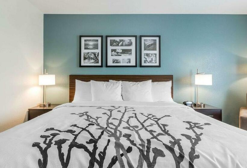 Стандартный Номер Кровать Кинг, Sleep Inn & Suites West Des Moines Near Jordan Creek
