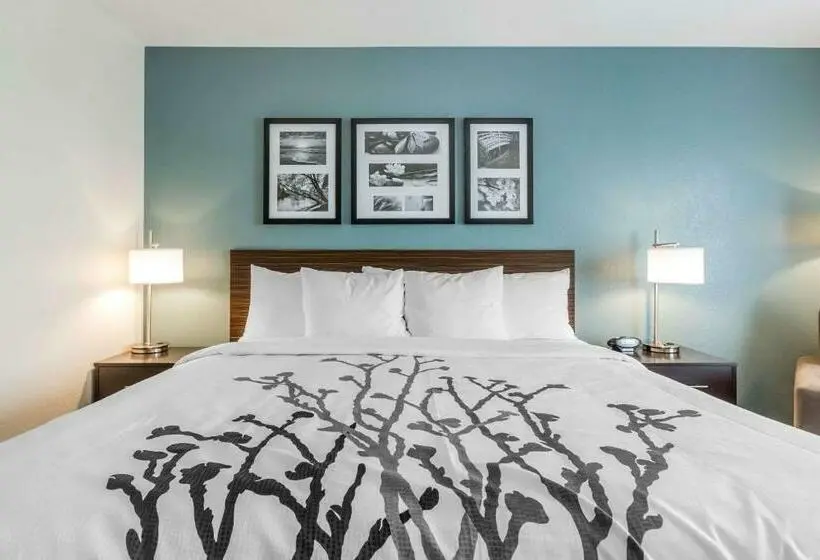 キングサイズベッドのスタンダードルーム, Sleep Inn & Suites West Des Moines Near Jordan Creek