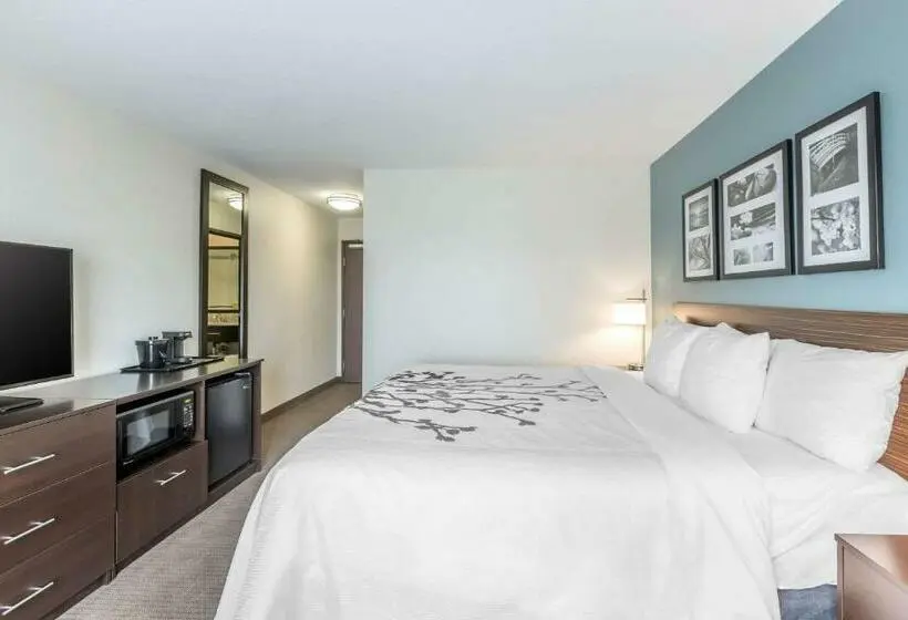 キングサイズベッドのスタンダードルーム, Sleep Inn & Suites West Des Moines Near Jordan Creek