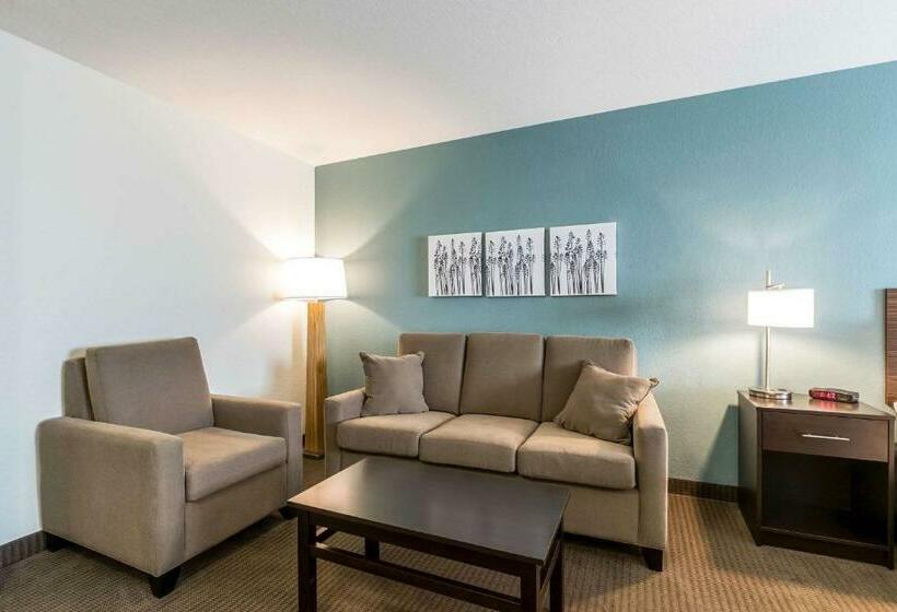 Люкс Кровать Кинг, Sleep Inn & Suites West Des Moines Near Jordan Creek