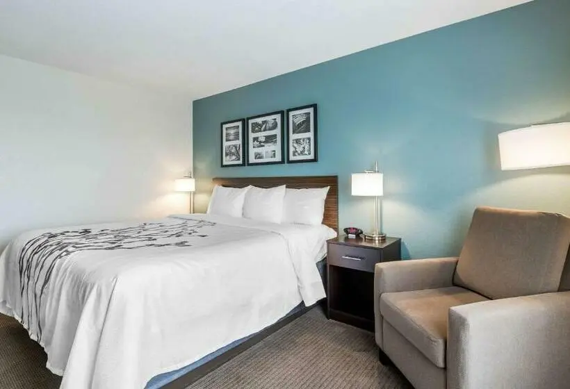 キングサイズベッドのスタンダードルーム, Sleep Inn & Suites West Des Moines Near Jordan Creek