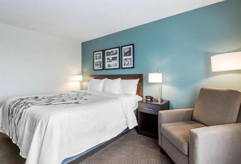 身障者適用キングサイズベッドルーム, Sleep Inn & Suites West Des Moines Near Jordan Creek
