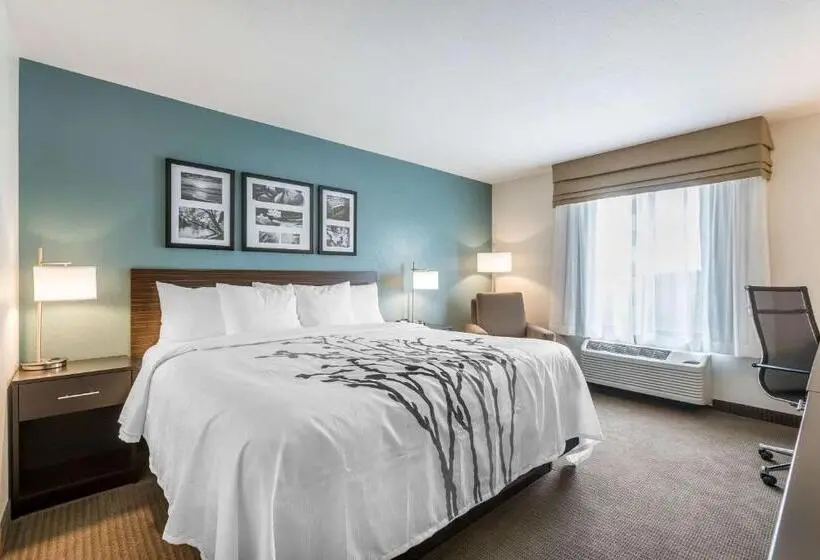 身障者適用キングサイズベッドルーム, Sleep Inn & Suites West Des Moines Near Jordan Creek