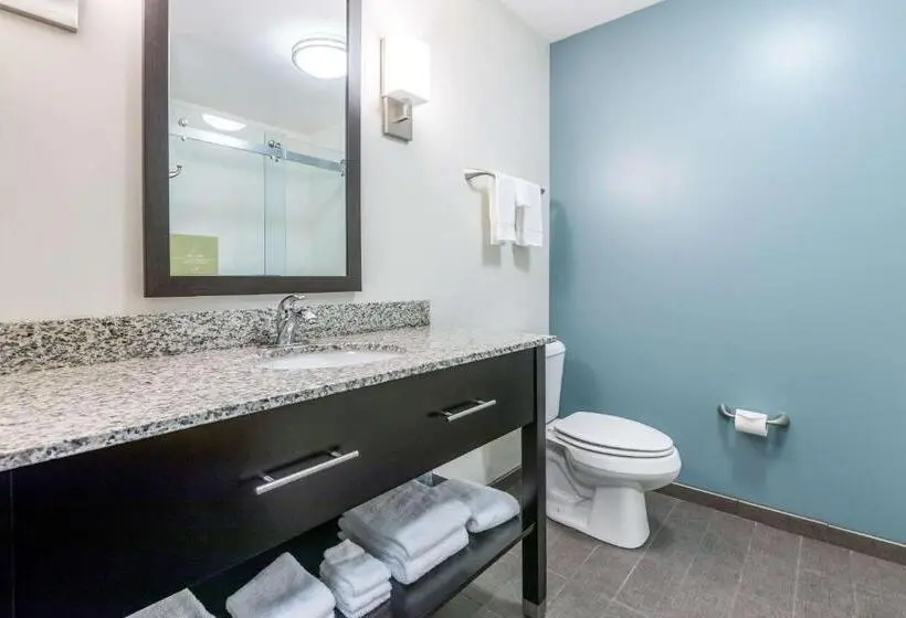 身障者適用スタンダードルーム, Sleep Inn & Suites West Des Moines Near Jordan Creek