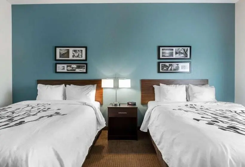 身障者適用スタンダードルーム, Sleep Inn & Suites West Des Moines Near Jordan Creek