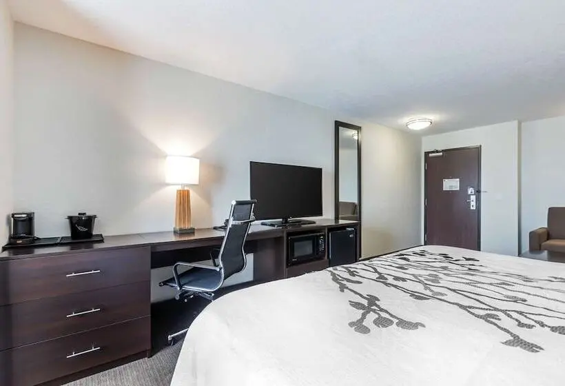 身障者適用スイートルーム, Sleep Inn & Suites West Des Moines Near Jordan Creek