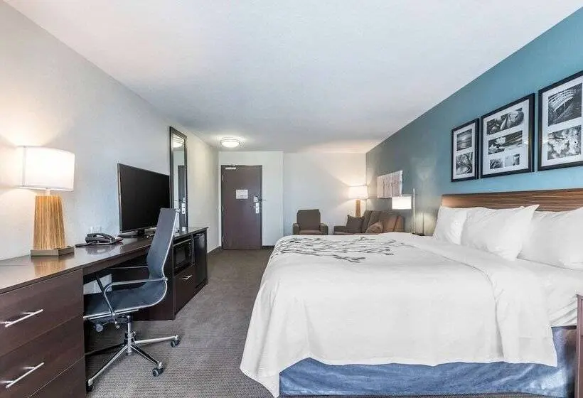身障者適用スイートルーム, Sleep Inn & Suites West Des Moines Near Jordan Creek