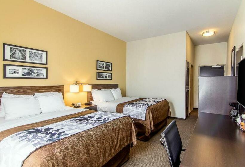 Номер Стандарт, Sleep Inn & Suites Westnear Medical Center