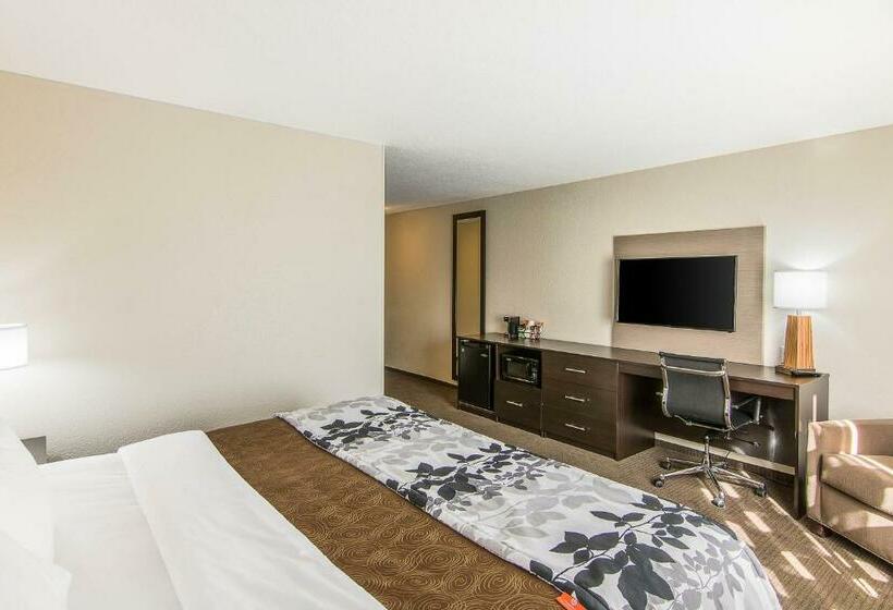 غرفة قياسية سرير كينج, Sleep Inn & Suites Westnear Medical Center
