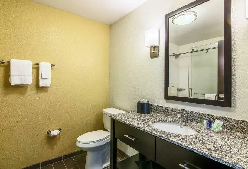 Standard-huone King-vuode, Sleep Inn & Suites Westnear Medical Center