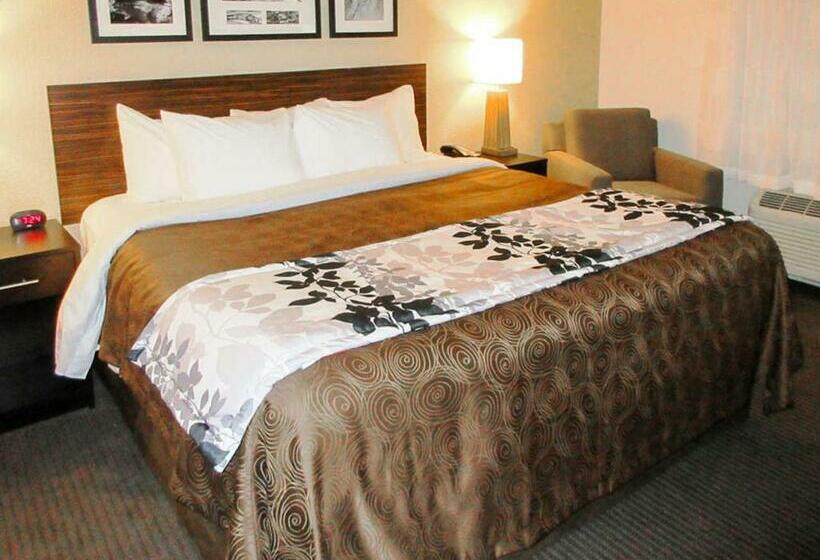 חדר סטנדרט עם מיטת קינג, Sleep Inn & Suites Westnear Medical Center