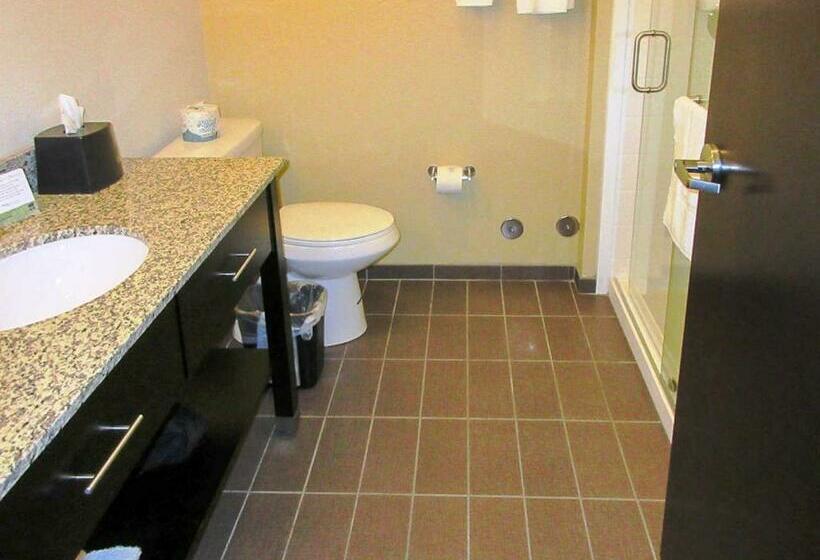 غرفة قياسية سرير كينج, Sleep Inn & Suites Westnear Medical Center