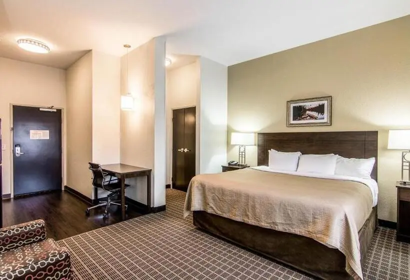 Sviitti Liikuntarajoitteisille, Sleep Inn & Suites Westnear Medical Center