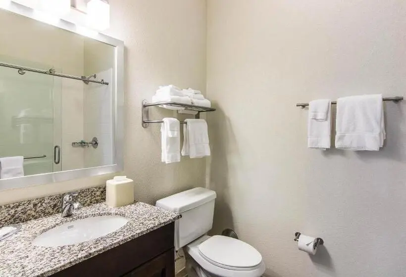 Sviitti Liikuntarajoitteisille, Sleep Inn & Suites Westnear Medical Center