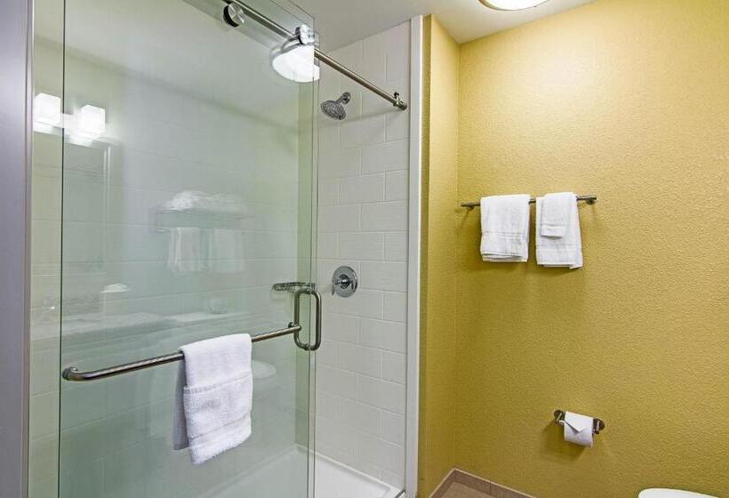 جناح سرير كينج, Sleep Inn & Suites Westnear Medical Center