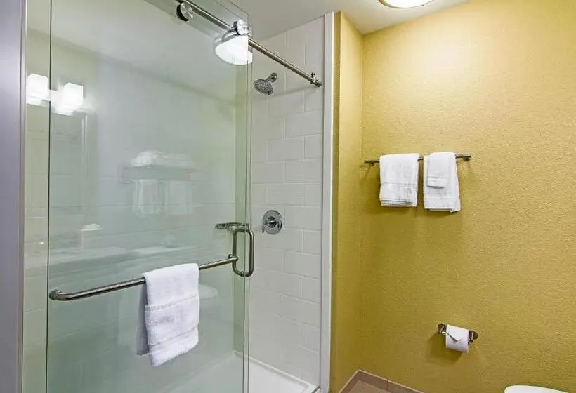 Sviitti King-vuode, Sleep Inn & Suites Westnear Medical Center