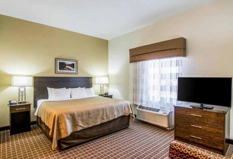 מיטת קינג בסוויטה, Sleep Inn & Suites Westnear Medical Center