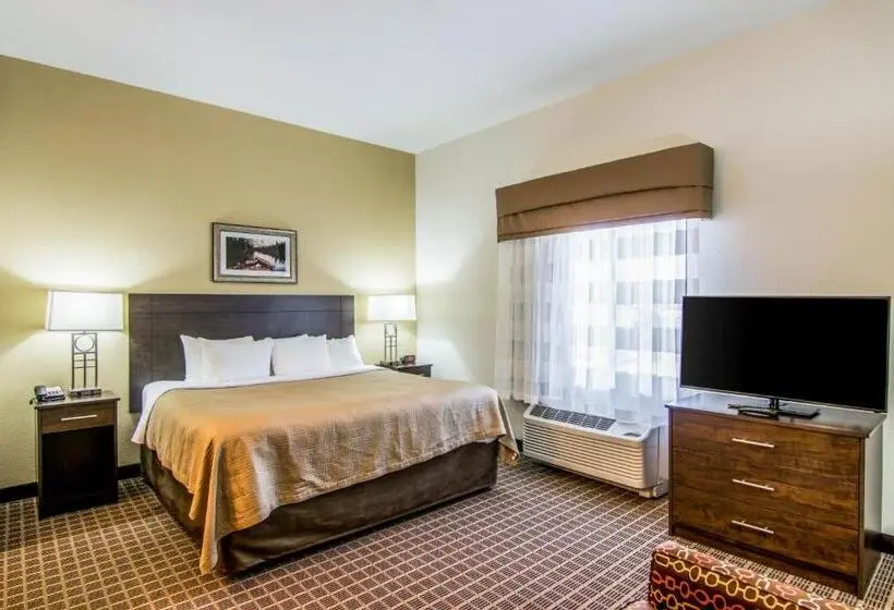 Sviitti King-vuode, Sleep Inn & Suites Westnear Medical Center