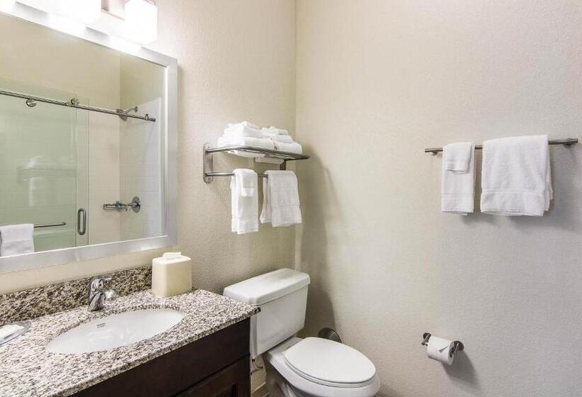 Люкс Кровать Кинг, Sleep Inn & Suites Westnear Medical Center