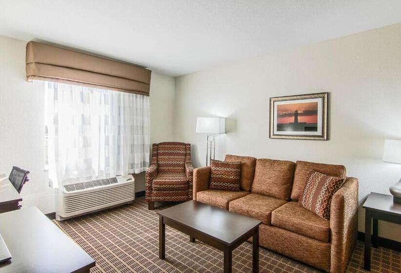 Люкс, Sleep Inn & Suites Westnear Medical Center
