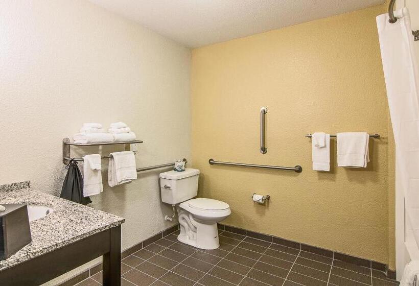 غرفة قياسية لذوى الاحتياجات الخاصة, Sleep Inn & Suites Westnear Medical Center