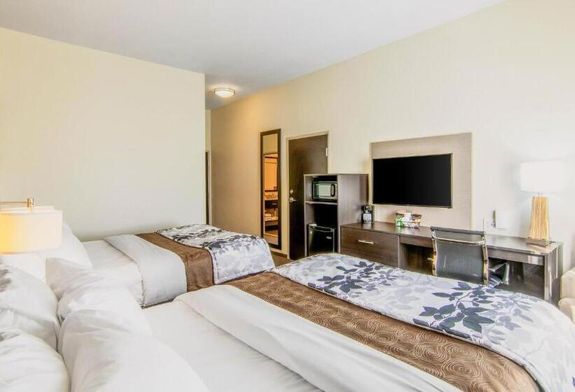 غرفة قياسية لذوى الاحتياجات الخاصة, Sleep Inn & Suites Westnear Medical Center