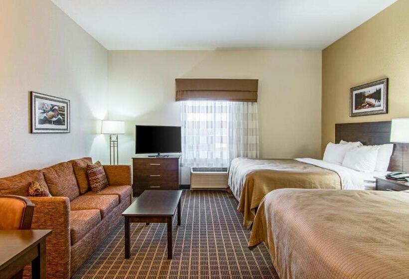Люкс Адаптированный для Инвалидов, Sleep Inn & Suites Westnear Medical Center
