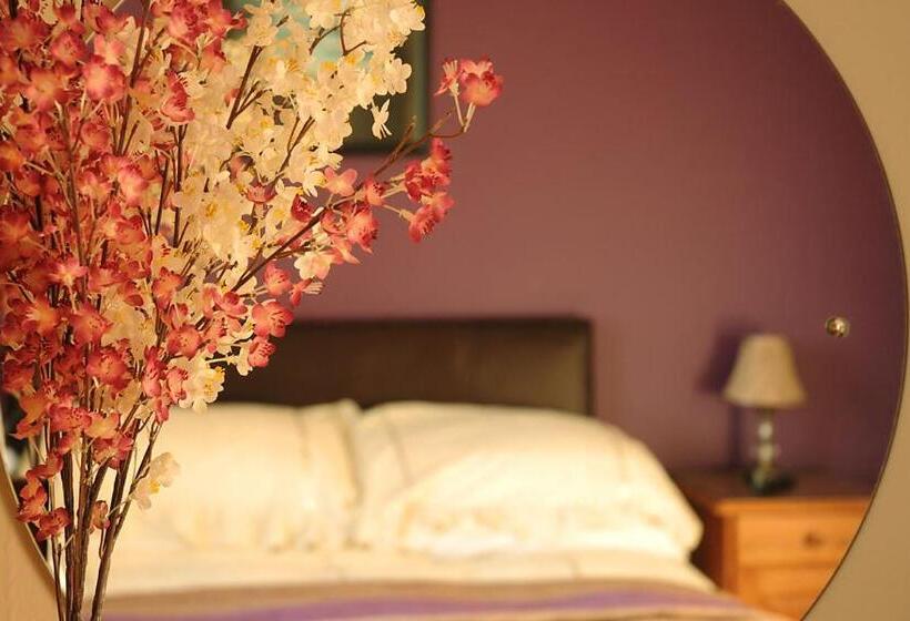 חדר סטנדרט, Sneem River Lodge Bed & Breakfast