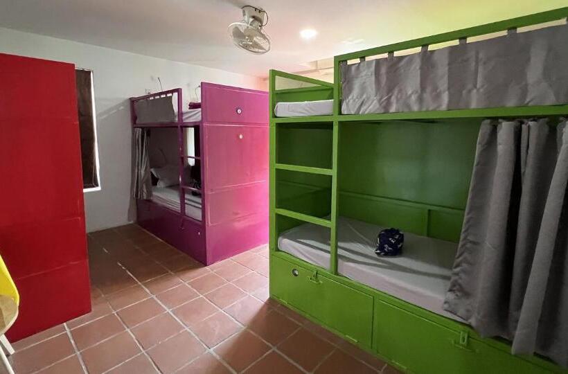 ルームシェアのワンベッド, The Funky Village