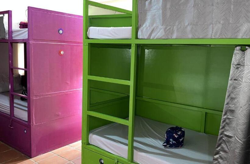 ルームシェアのワンベッド, The Funky Village