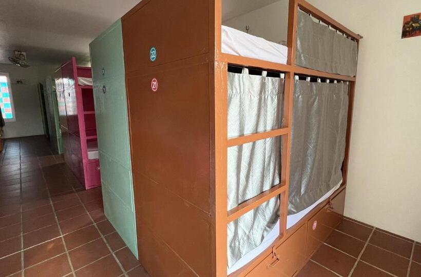 ルームシェアのワンベッド, The Funky Village