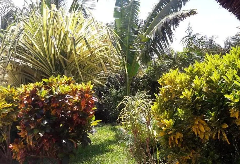 استودیوی استاندارد, African Dream Cottages Diani Beach